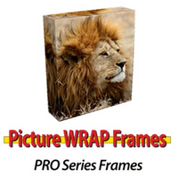 Picture Wrap Frames